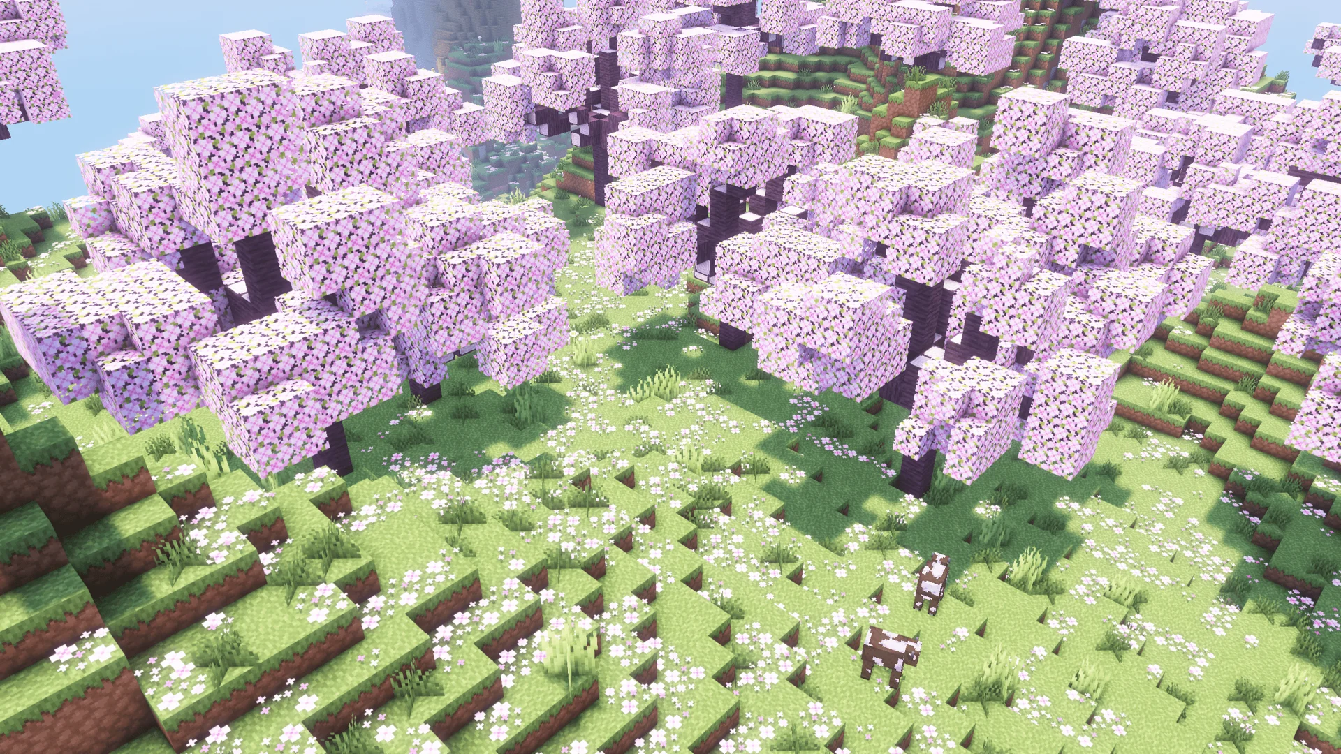 Looshy 16x